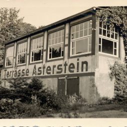Terrasse Asterstein